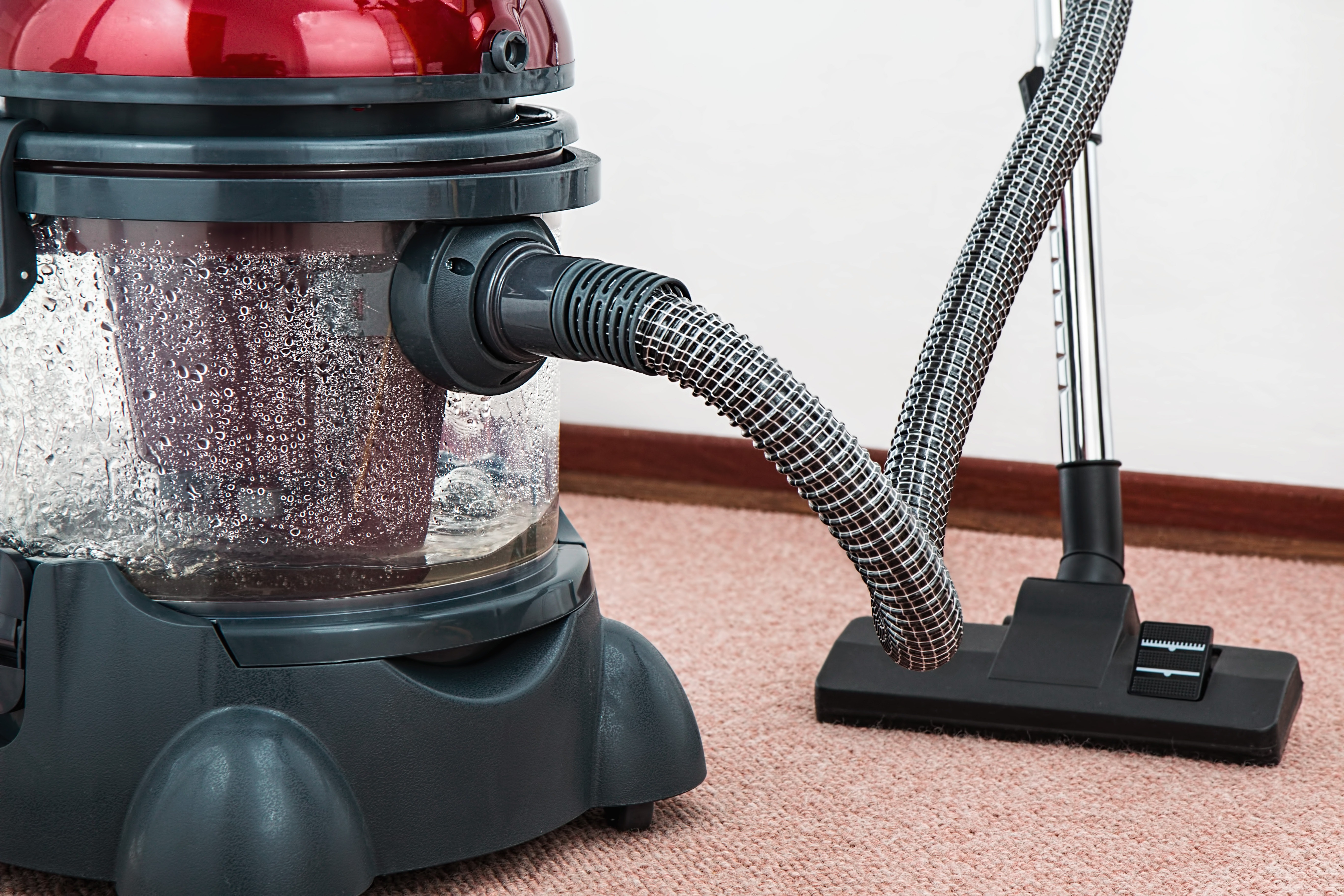 Professional-carpet-cleaning-service-company